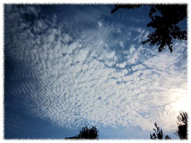 うろこ雲2.jpg