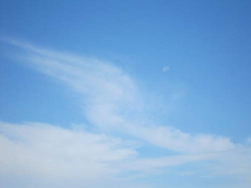 秋空の月雲の上.jpg