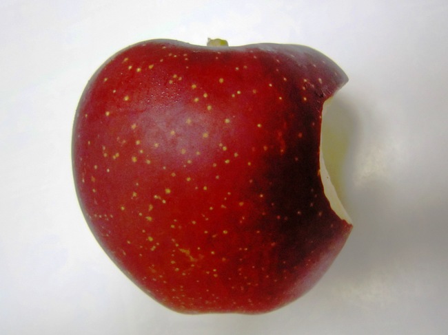 apple8.jpg